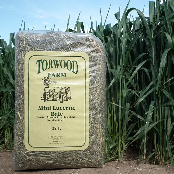 Torwood Farm Mini 22L Straw Bale Oaten Bale Lucerne Bale Rye Grass Bale Rabbit 3