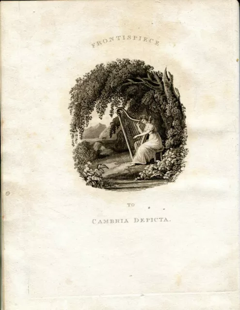 A Native Artist [Edward Pugh] CAMBRIA DEPICTA : A TOUR THROUGH NORTH WALES, ILLU 2