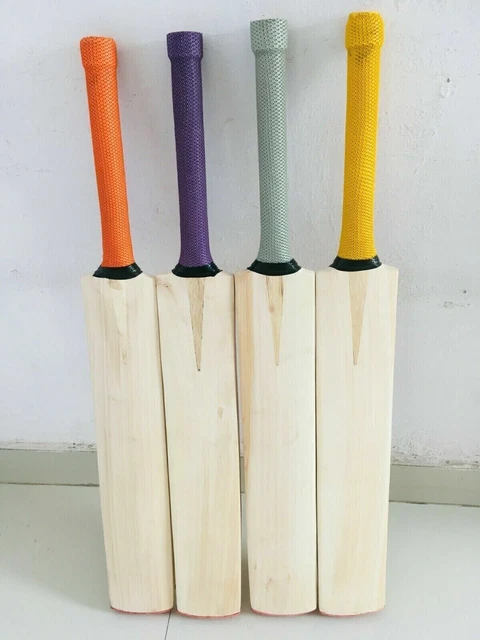 Batte de cricket pleine grandeur en saule du Cachemire uni pour balle de...