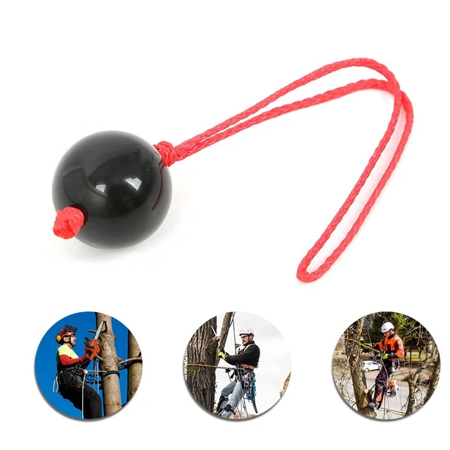 Ceinture de sécurité demi-corps pour l'escalade en montagne et l'escalade d'arbres