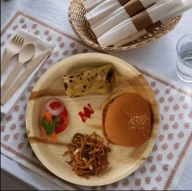 Eco Friendly Disposable Biodegradable Plates Areca Palm Leaf BBQ Party 6 Pack