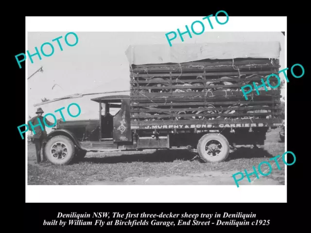 LARGE OLD HISTORICAL PHOTO OF DENILIQUIN NSW 1st 3 DECKER SHEEP TRUCK c1925