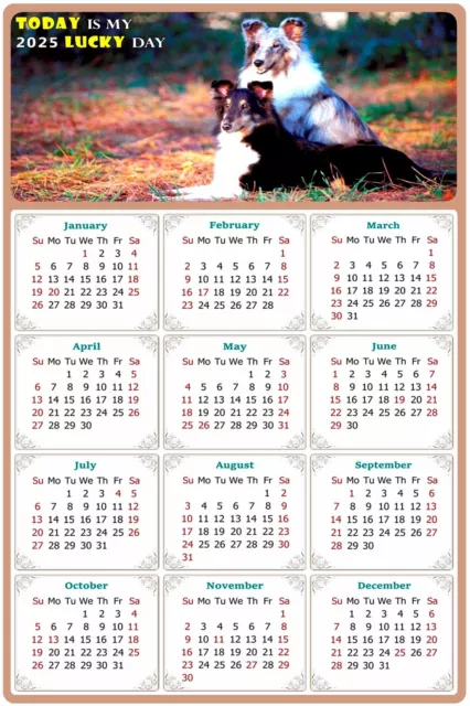 2025 Peel & Stick Calendar - Today is my Lucky Day Removable - Dogs 09 (9"x 6")