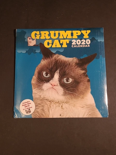 New Unopened Grumpy Cat 2020 Calendar