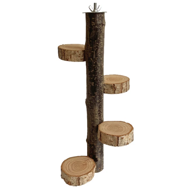 Papagei Barsch Spielzeug Vogelkäfig-Barschspielzeug Zweig Klettern