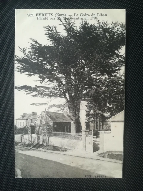 CPA 27 EVREUX - The Cedre of Lebanon - Planted by M.Beaucantin in 1794