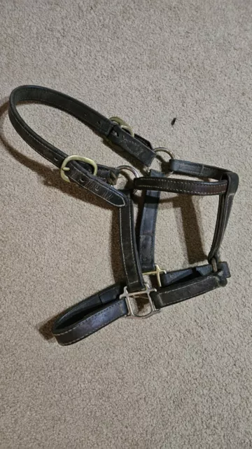 Yearling Leather Halter Small Medium Pony