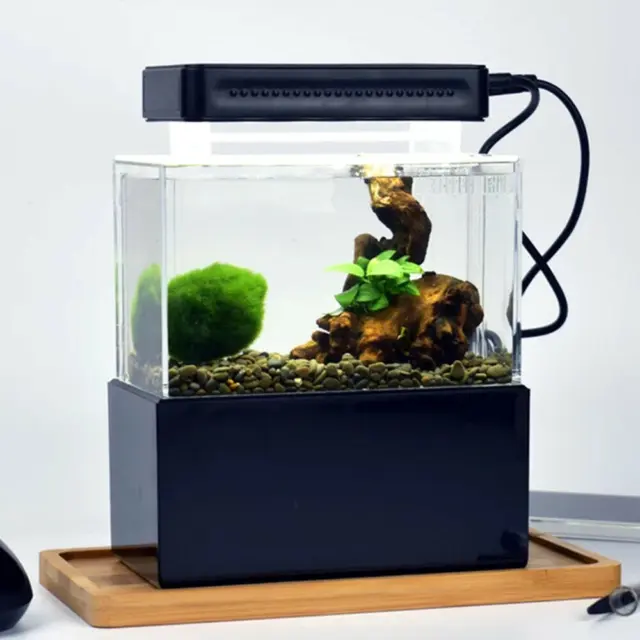 Aquarium Small Fish Tank With Led Light Quiet Air USB Pump Acrylic Fish Bowl