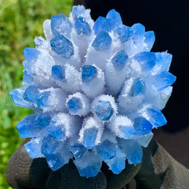 464G New Find sky blue Phantom Quartz Crystal Cluster Mineral Specimen Healing