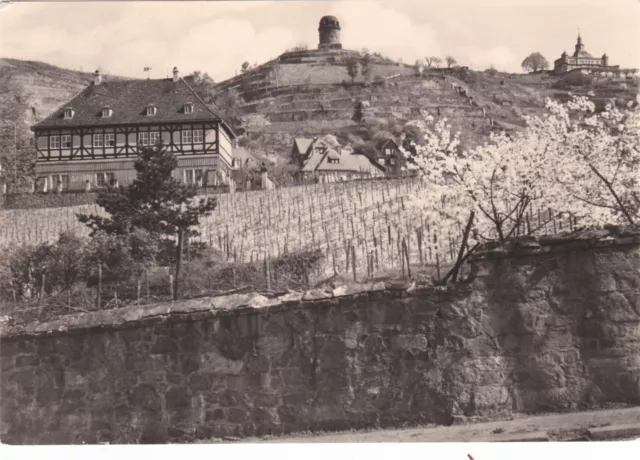 Historische AK Radebeul - Schloß Hoflößnitz - Friedersturm - Spitzhaus - s/w