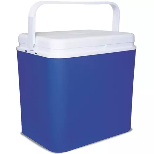 Papillon FRIGO Box PASSIVO Grande 30LT D