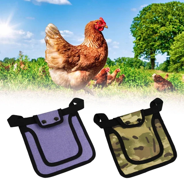 Huhn, für Vögel, für Mittelgroßes Huhn