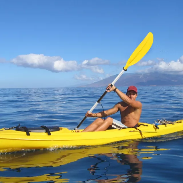 220cm Pagaie double avec laisse Lames de pagaie réglables pour kayak bateau