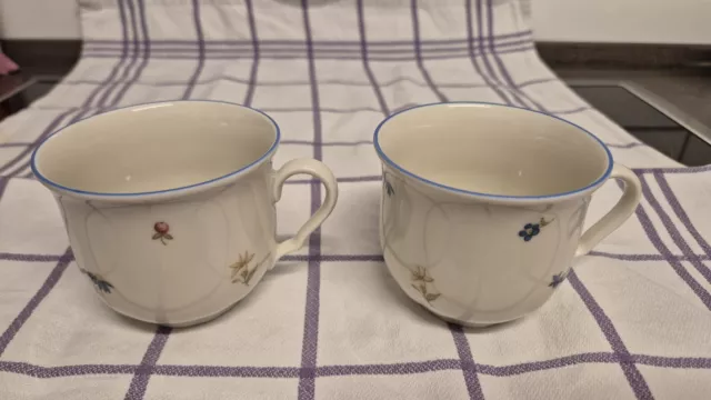 2× Seltmann Weiden Bavaria streu Blumen Tasse Blauer Rand