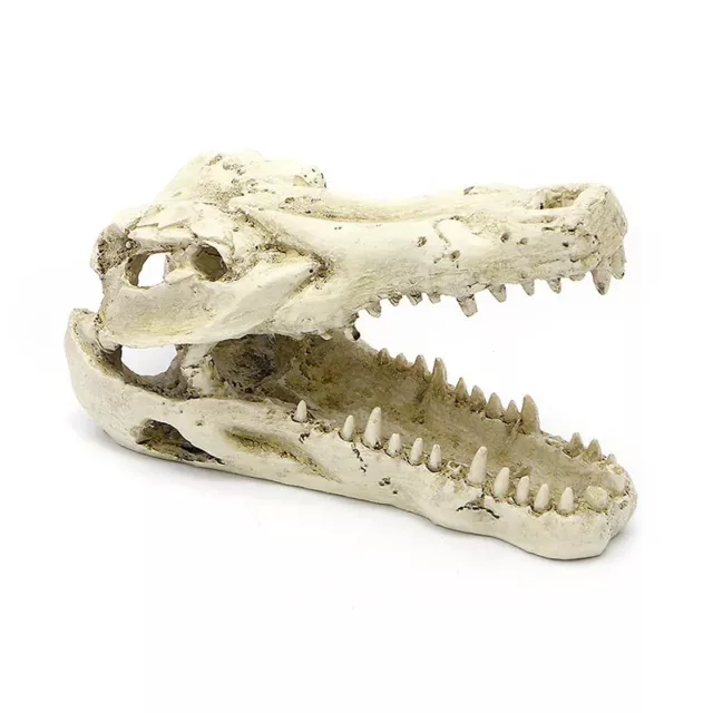 Aquarium Decoration 5" Resin Crocodile Skull Artificial Decor Fish Tank Ornament