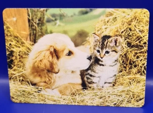 Beautiful Dog & Cat swap card,  Wide Playing Back. Exc cond.