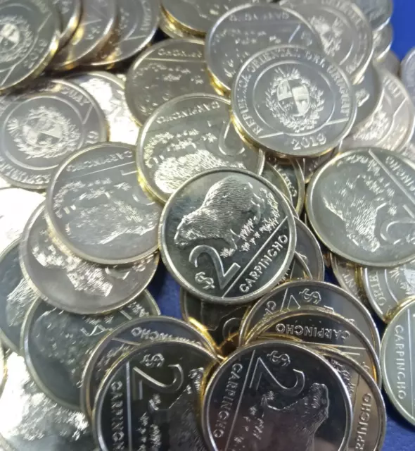 2019 UNC Capybara fun lot of 50 coins from Uruguay Capi Carpincho !
