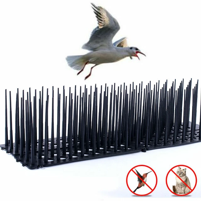 Bird Spikes Fence Cat Defender Plástico Valla Picos de Pared para Abhal ZR