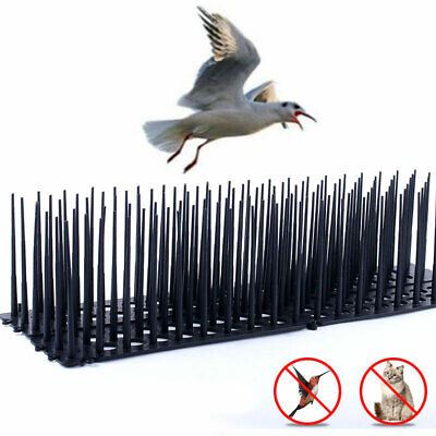 Púas de pared de plástico para defensa de gatos cerca de pájaros picos para mantener alejados de los pájaros ^ hqy