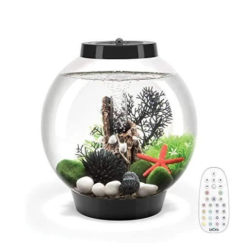 Classic 15 Aquarium with MCR Light - 4 Gallon Black with MCR Lighting Series 7