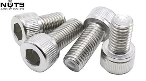 Ss Allen Bolt M10 X 60 At ₹ 17./piece | Stainless Steel Allen Bolts In - Foto 11
