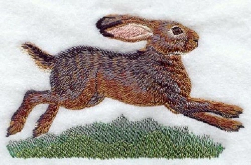 Embroidered Long-Sleeved T-Shirt - Belgian Hare M1731 Sizes S - XXL