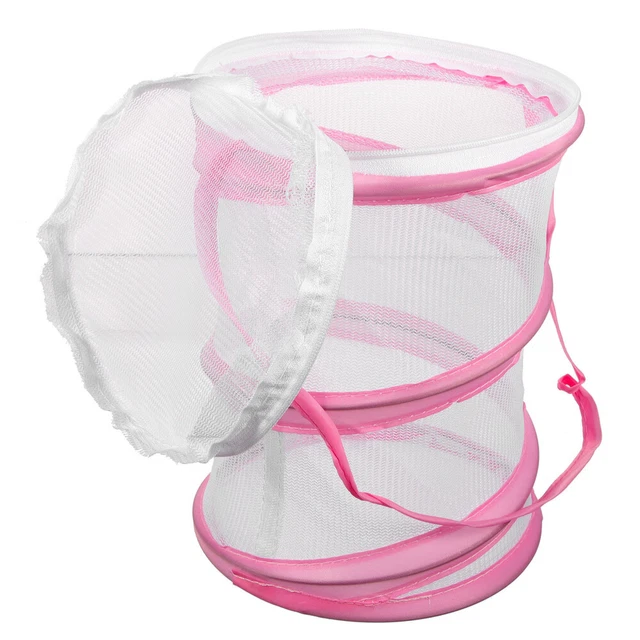 Visible Insect Cage Butterflies Habitat Child Student Butterfly Breathable