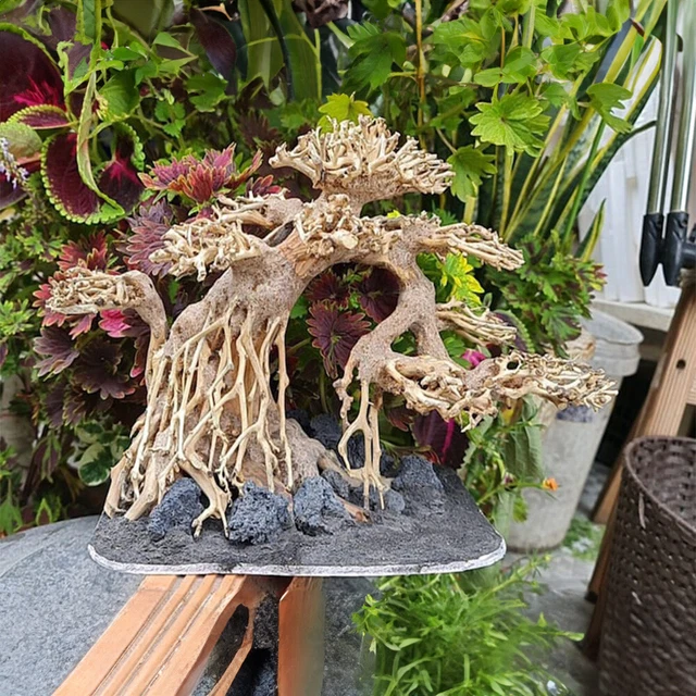 Aquarium driftwood bonsai tree background aquascaping wood fish tank decor