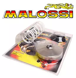 Variateur MALOSSI MBK Skyliner XMAX Majesty X-MAX 125