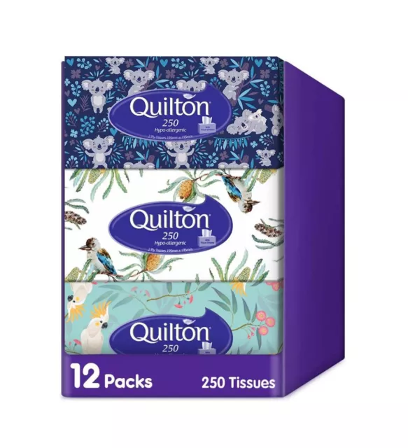 Quilton Hypo Allergenic 2 Ply 250 Facial Tissues Pack, 12 packs