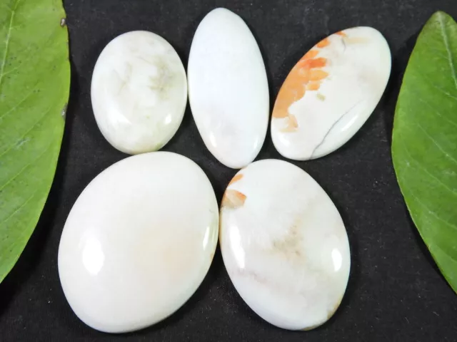 252Cts. Natural Scolecite Oval Cabochon Loose Gemstone 05Pcs Lot 33-44MM