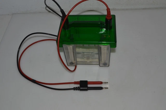 ^^ Bio-Rad Mini Protean 3 Cell Trans Blot System 525Br (Ele18)