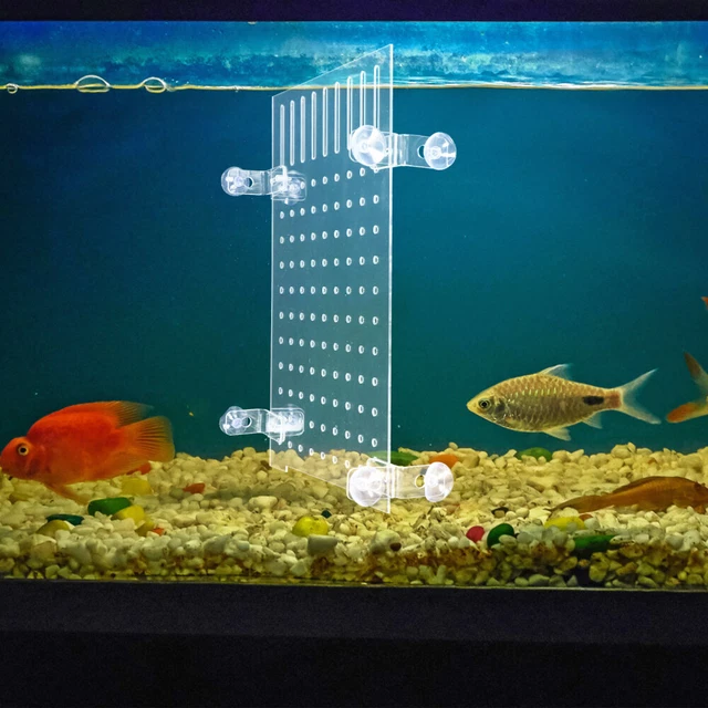 aquarium isolation board Suction Cup Divider Fish Tank Isolation Board Clear 2