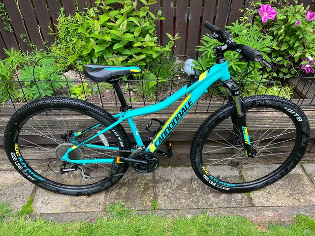 Cannondale tango top 6 stores