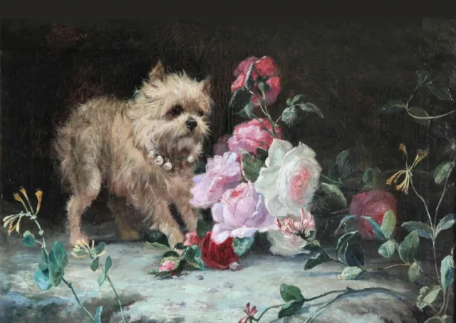 Brussels Griffon Cute Dog And Roses Greetings Note Card