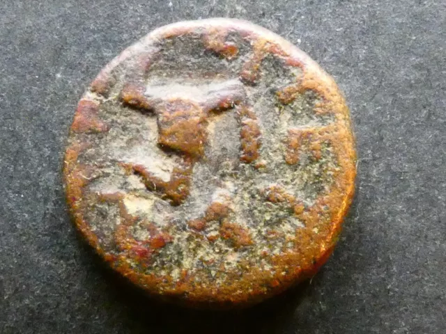 33.38.  Italy, Sicily, Panormos, AE17, after 254 BCE.