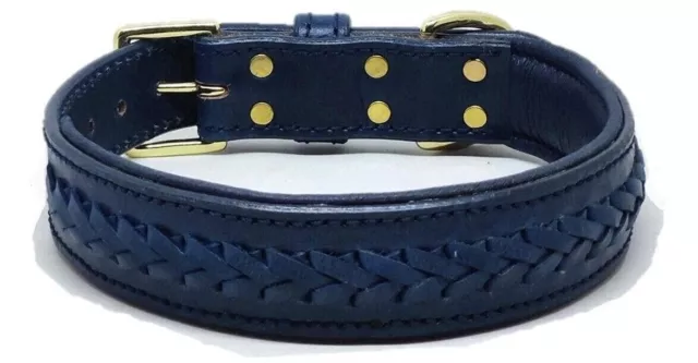 STG Genuine Leather Braided Soft Padded Luxury Dog Collar Blue For All Type Dog