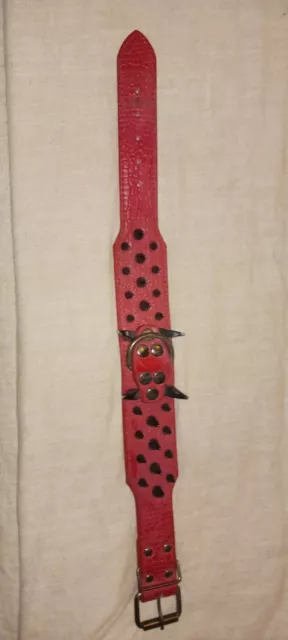 Dog Collar Red Leather with Black Spikes, Size Medium