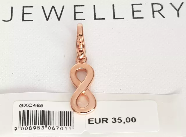 GOOIX Silber 925 Damen Charm Charms Anhänger Infinity Unendlich rosègold NEU 328