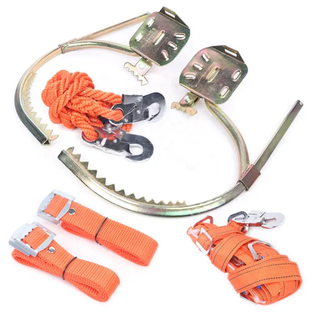 Tree-Climbing Spurs Gear Spike Set W/ Adjustable Safety Harness Belt Shoe Buckle