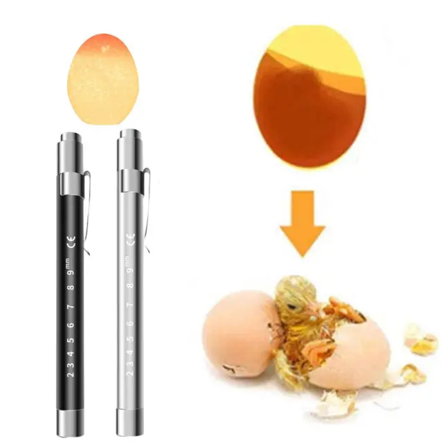 Oeuf Candler Testeur Compact Egg Hatching Test Light pour Poulet Volaille