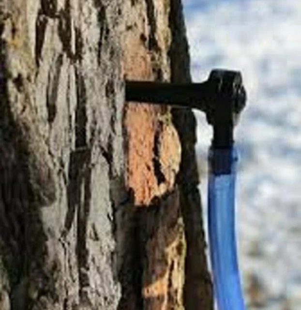 Set of 5 Maple Syrup Taps With Drop Lines
