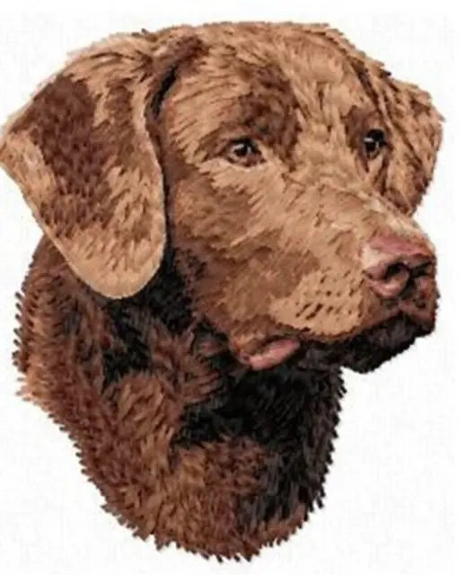 CHESAPEAKE BAY RETRIEVER Dog Breed Bathroom SET OF 2 HAND TOWELS EMBROIDERED