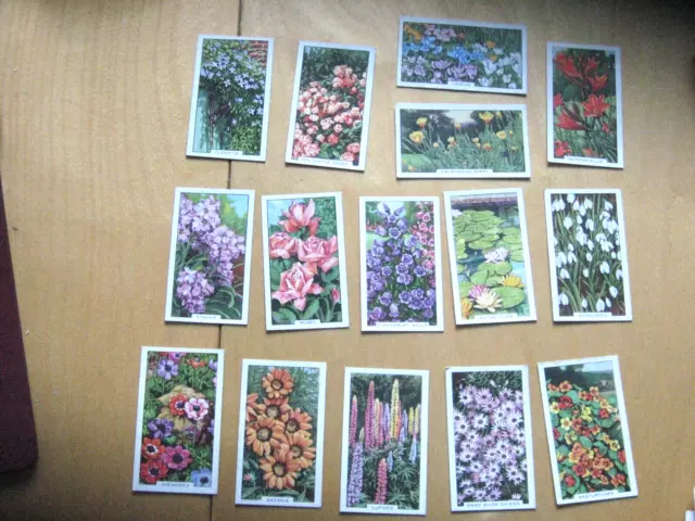 15 gallaher ltd cigarette cards GARDEN FLOWERS