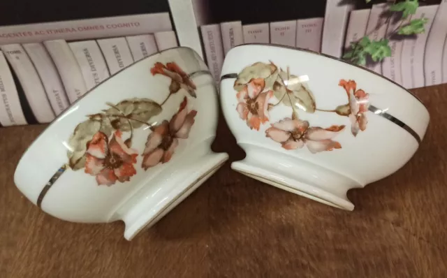 2 Bols Anciens En Porcelaine Décor Floral