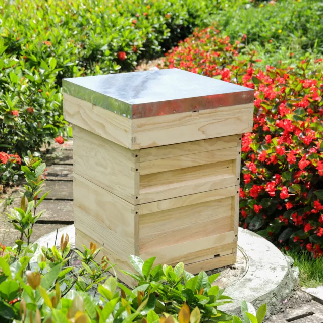 National Bee Hive Bee Keeping Pine Wooden Beehive Box Beekeeping Beehive Easibee