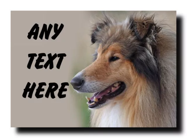 Rough Collie Dog Personalised Jumbo Magnet