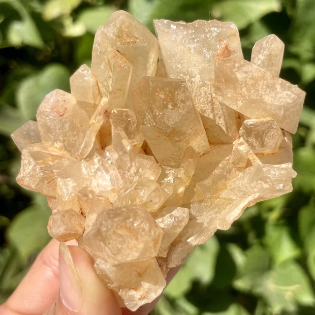 264G Natural citrine Crystal quartz Cluster Mineral Specimen Healing