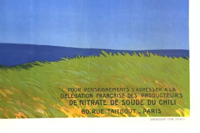 AFFICHE AGRICOLE 1930 NITRATE SOUDE du CHILI AZOTE NITRIQUE LITHO DRAEGER 3