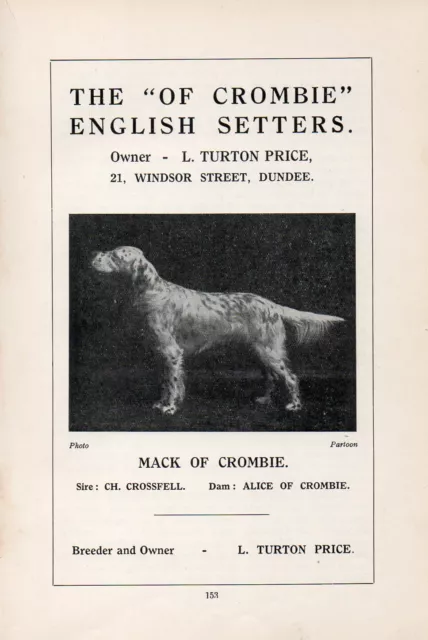 English Setter Old Vintage 1934 Named Dog Print Page "Mack Of Crombie "